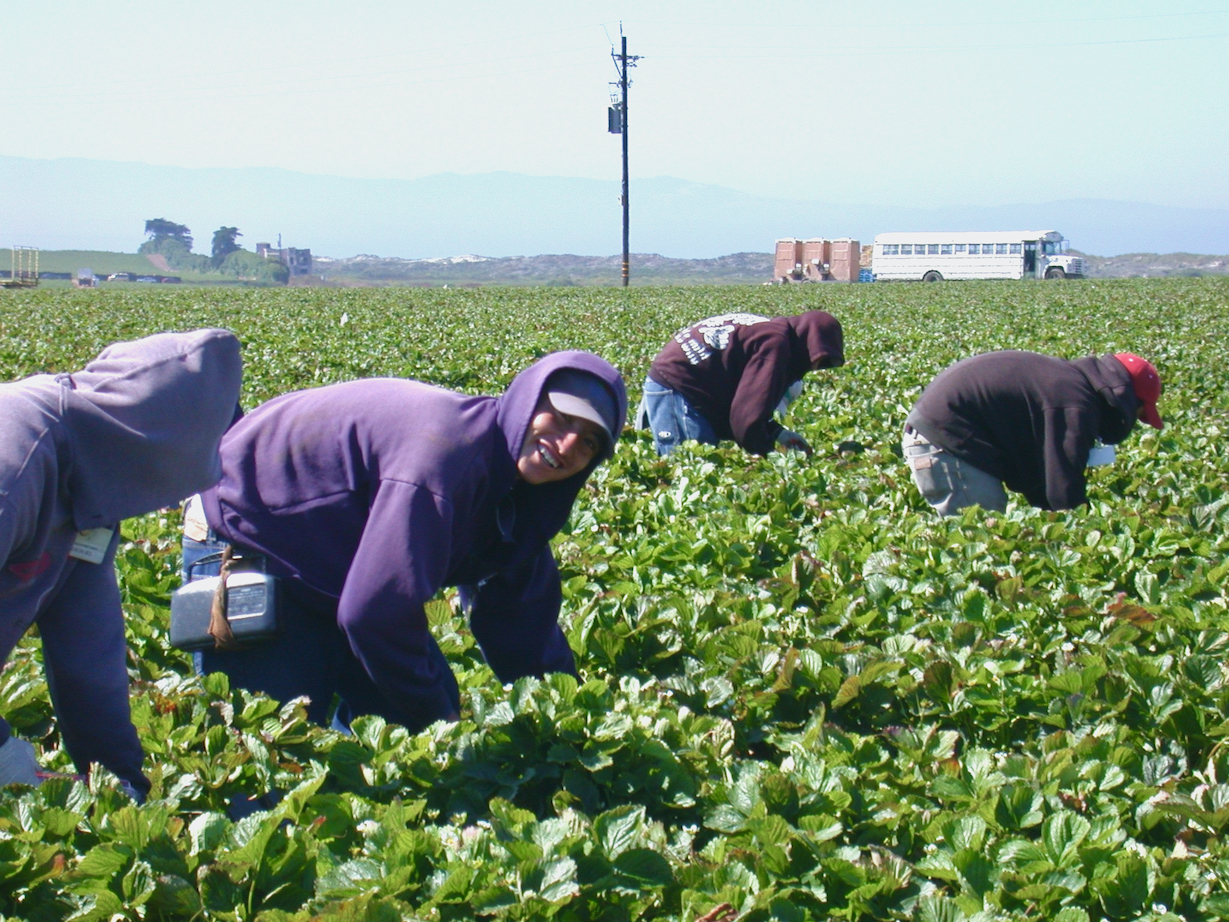 Achieving Resilient Communities (ARC) - Roots of Change